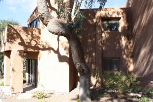 Catalina Foothills Condo for Rent